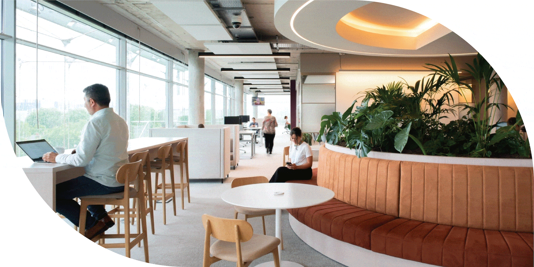 Modern offices with natural material in lobbies and private work spaces