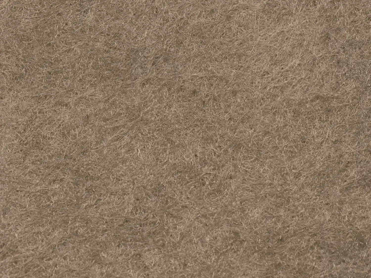 Bark