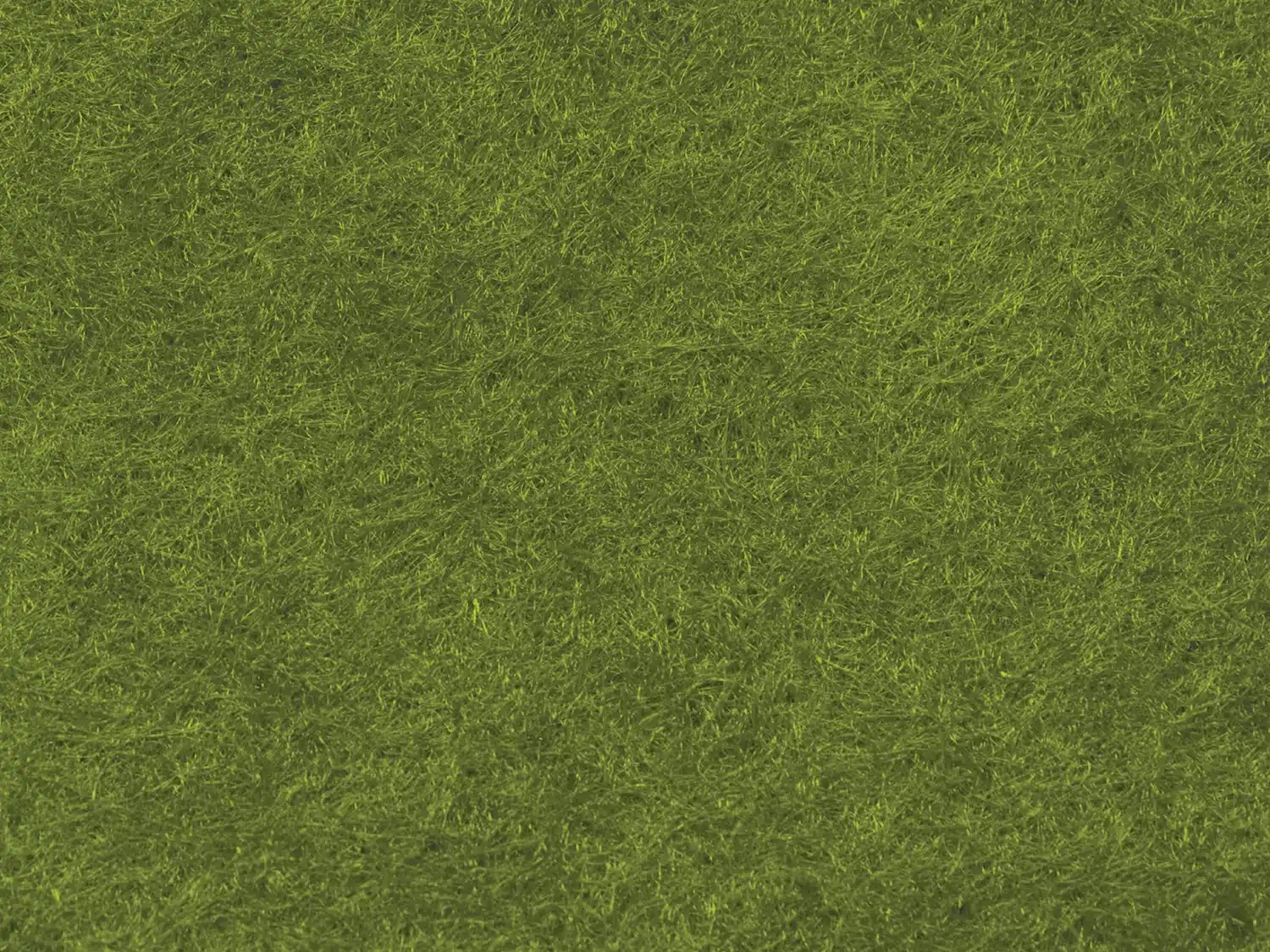 Guac