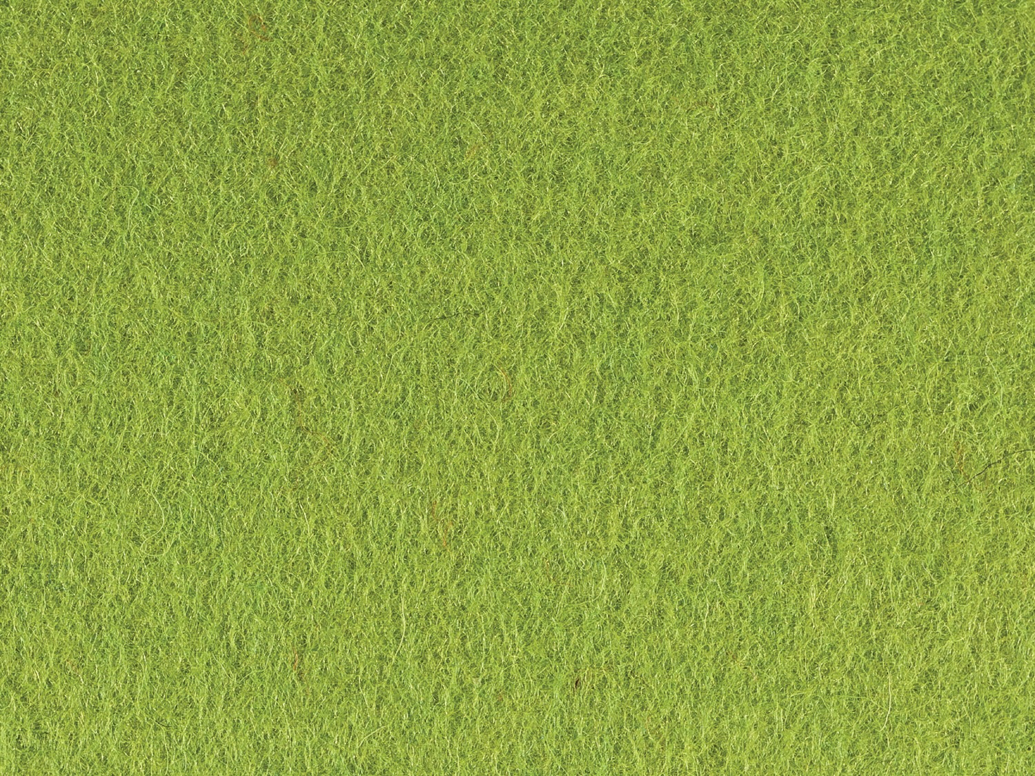 Electric Green