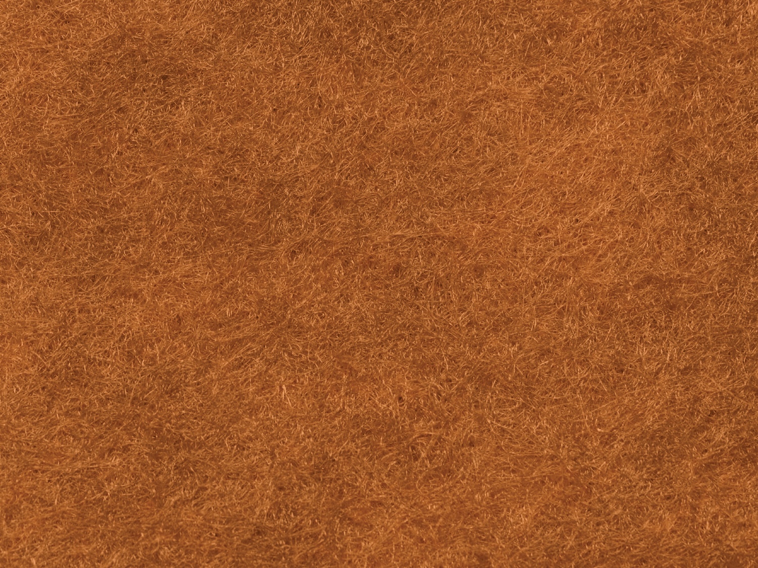 Pumpkin Spice